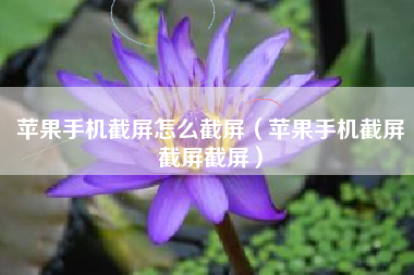 苹果手机截屏怎么截屏（苹果手机截屏截屏截屏）