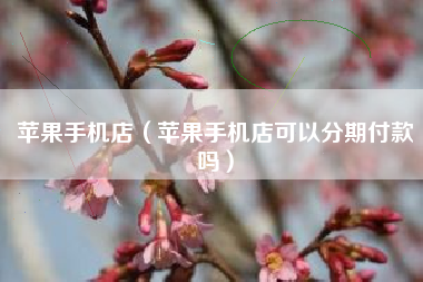 苹果手机店（苹果手机店可以分期付款吗）