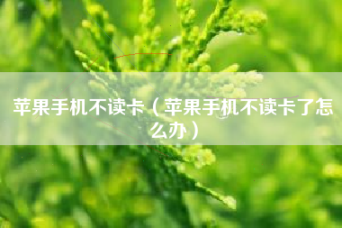 苹果手机不读卡（苹果手机不读卡了怎么办）