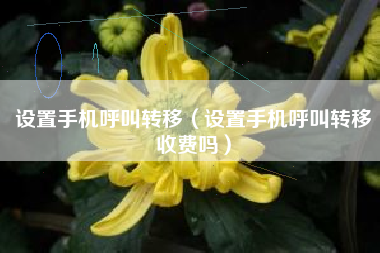 设置手机呼叫转移（设置手机呼叫转移收费吗）