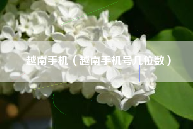 越南手机（越南手机号几位数）