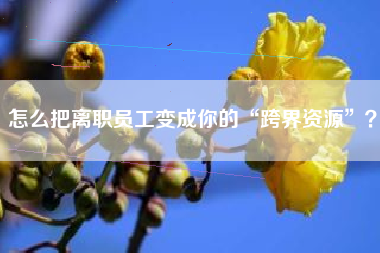 怎么把离职员工变成你的“跨界资源”？