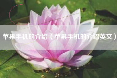 苹果手机的介绍（苹果手机的介绍英文）
