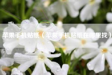 苹果手机贴纸（苹果手机贴纸在哪里找）