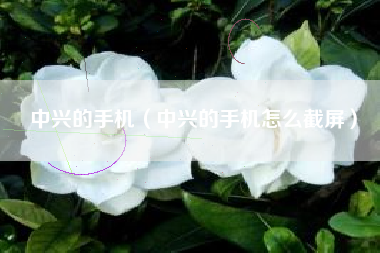 中兴的手机（中兴的手机怎么截屏）