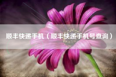 顺丰快递手机（顺丰快递手机号查询）