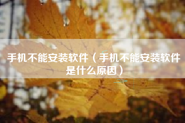 手机不能安装软件（手机不能安装软件是什么原因）