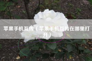 苹果手机互传（苹果手机互传在哪里打开）