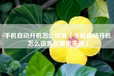 手机自动开机怎么设置（手机自动开机怎么设置在哪里关闭）