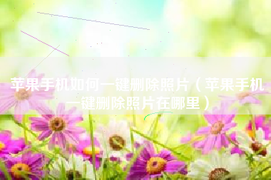 苹果手机如何一键删除照片（苹果手机一键删除照片在哪里）