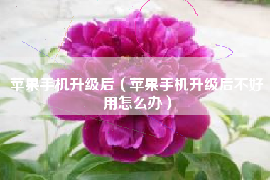 苹果手机升级后（苹果手机升级后不好用怎么办）