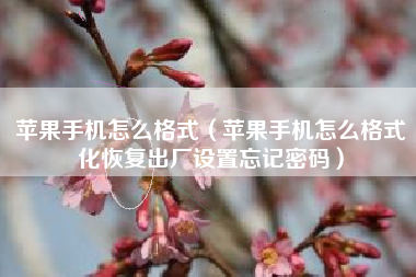 苹果手机怎么格式（苹果手机怎么格式化恢复出厂设置忘记密码）
