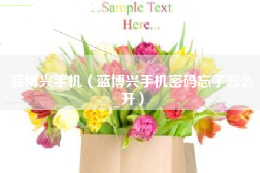 蓝博兴手机（蓝博兴手机密码忘了怎么开）