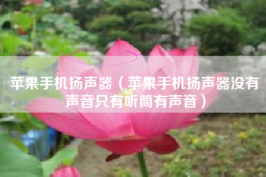苹果手机扬声器（苹果手机扬声器没有声音只有听筒有声音）