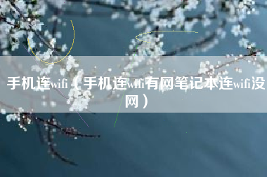 手机连wifi（手机连wifi有网笔记本连wifi没网）