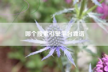 哪个搜索引擎平台靠谱