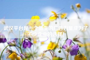 武汉平台是一个新生的广告力量成为了不少企业的选择！