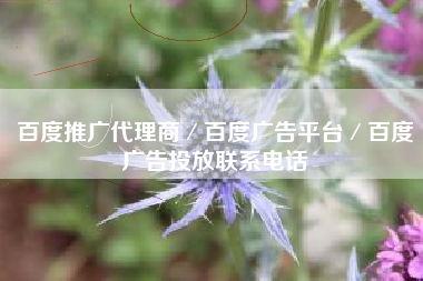 百度推广代理商／百度广告平台／百度广告投放联系电话