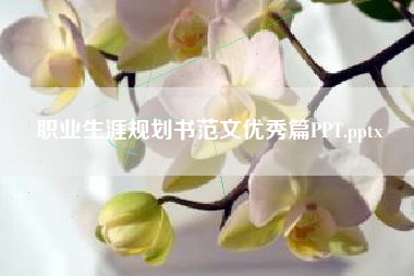 职业生涯规划书范文优秀篇PPT.pptx