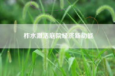 柞水激活庭院经济新动能