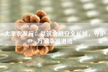 大丰农发行：共筑金融安全长城，守护万家幸福港湾