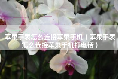 苹果手表怎么连接苹果手机（苹果手表怎么连接苹果手机打电话）