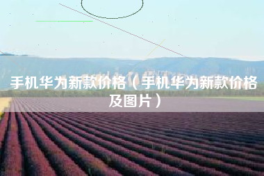 手机华为新款价格（手机华为新款价格及图片）