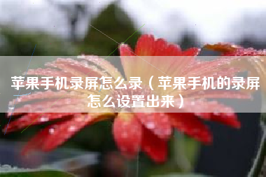 苹果手机录屏怎么录（苹果手机的录屏怎么设置出来）