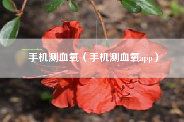 手机测血氧（手机测血氧app）