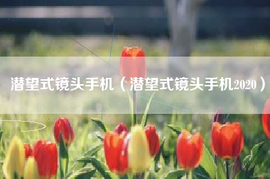 潜望式镜头手机（潜望式镜头手机2020）