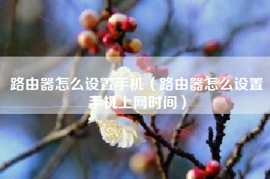 路由器怎么设置手机（路由器怎么设置手机上网时间）