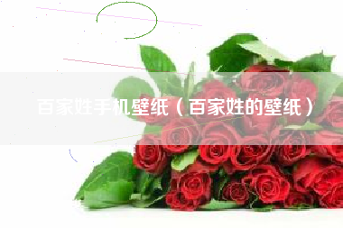 百家姓手机壁纸（百家姓的壁纸）