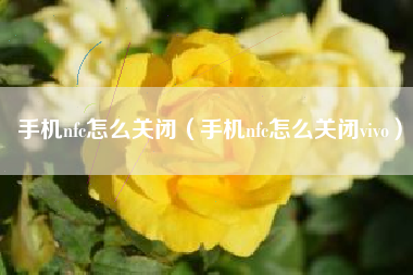 手机nfc怎么关闭（手机nfc怎么关闭vivo）