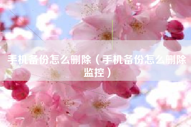 手机备份怎么删除（手机备份怎么删除监控）