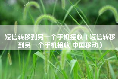 短信转移到另一个手机接收（短信转移到另一个手机接收 中国移动）