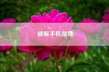 破解手机游戏
