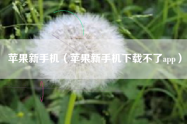 苹果新手机（苹果新手机下载不了app）