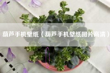 葫芦手机壁纸（葫芦手机壁纸图片高清）