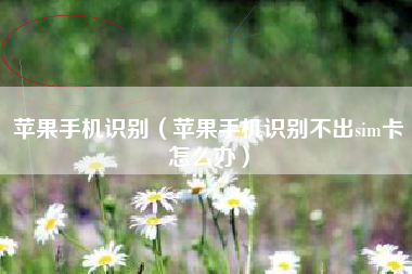 苹果手机识别（苹果手机识别不出sim卡怎么办）