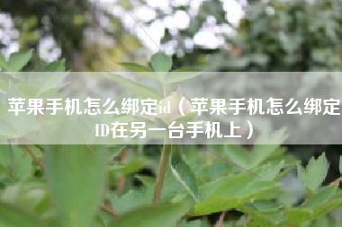 苹果手机怎么绑定id（苹果手机怎么绑定ID在另一台手机上）