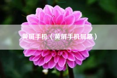 黄屏手机（黄屏手机屏幕）