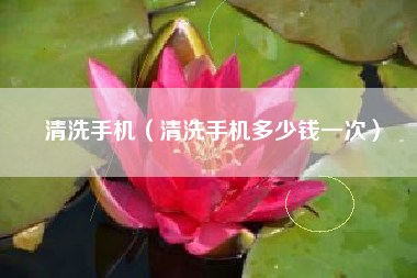 清洗手机（清洗手机多少钱一次）