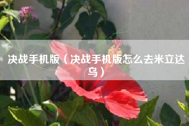 决战手机版（决战手机版怎么去米立达乌）