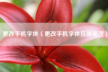 更改手机字体（更改手机字体在哪里改）