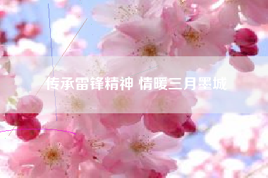 传承雷锋精神 情暖三月墨城