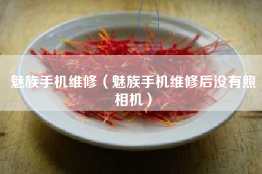 魅族手机维修（魅族手机维修后没有照相机）