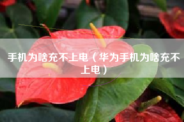 手机为啥充不上电（华为手机为啥充不上电）