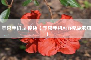 苹果手机wifi模块（苹果手机WIFI模块未知）