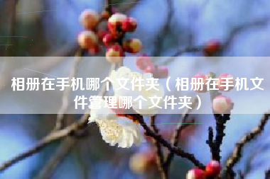 相册在手机哪个文件夹（相册在手机文件管理哪个文件夹）
