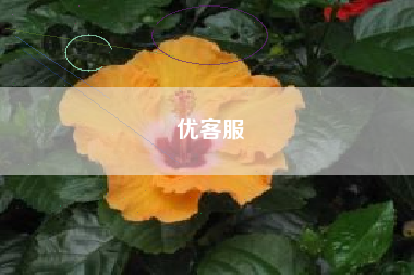 优客服